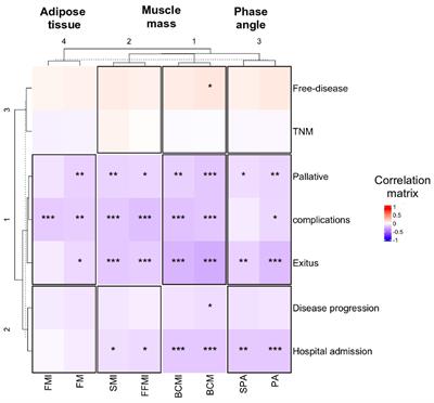 Prognostic value of bioelectrical impedance analysis in head and neck cancer patients undergoing radiotherapy: a VALOR® study